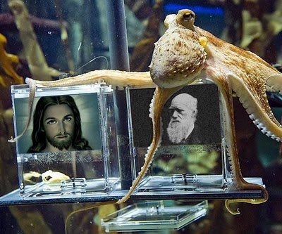 Paulateo