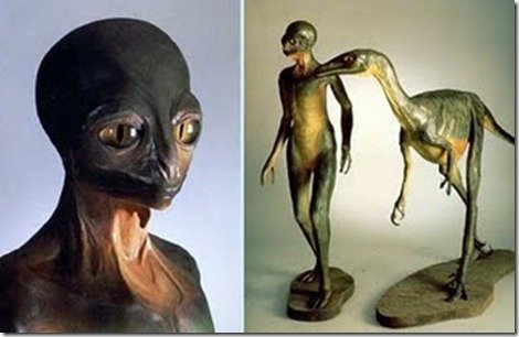 Descendant-troodon