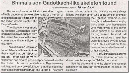 hoax_hindu_voice_article