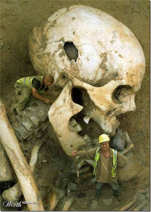 skull 4