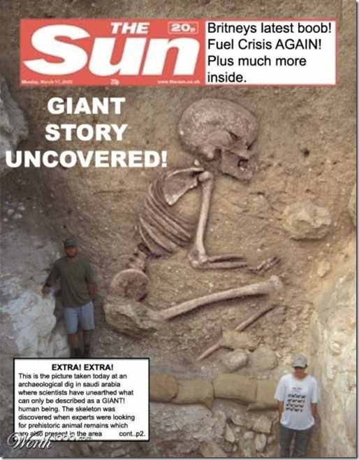 skull 6
