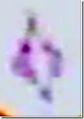 virgen