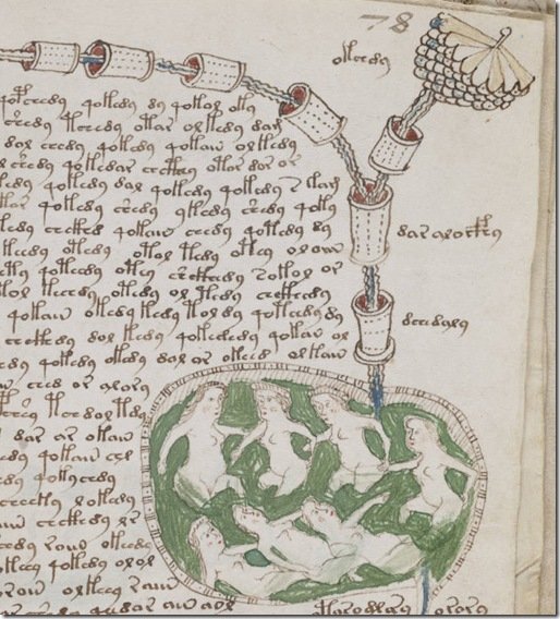 voynich