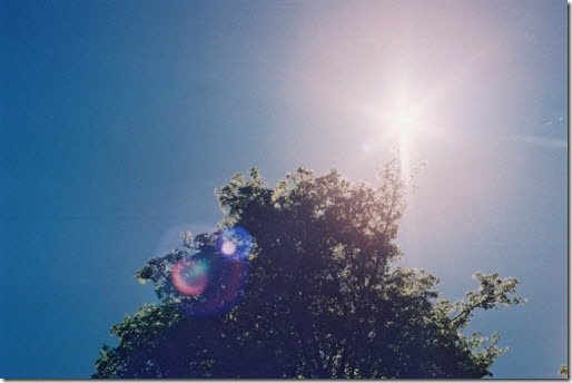 lens-flare