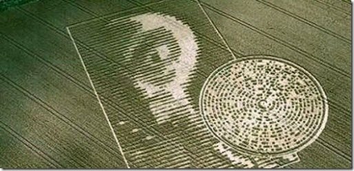 crop circle