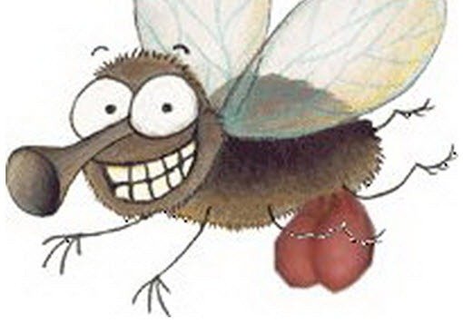 mosca