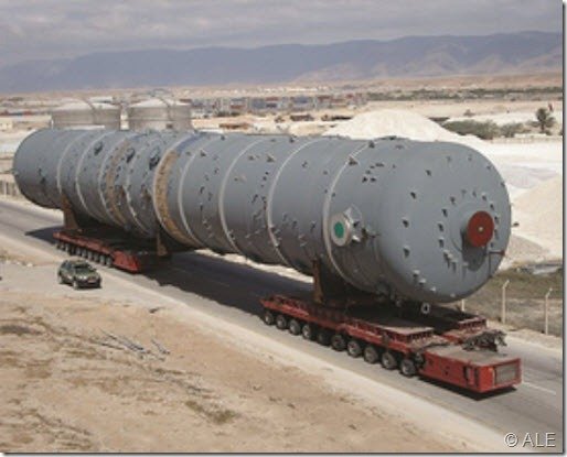 Salah plant
