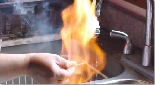 grifo fuego