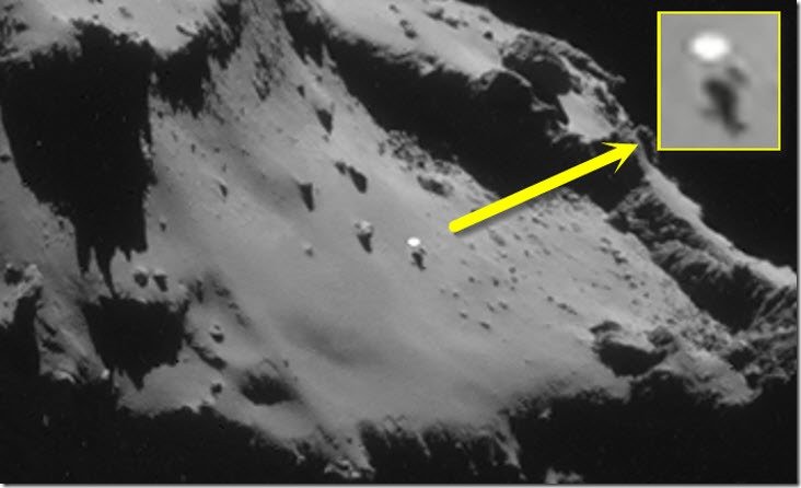 rosetta