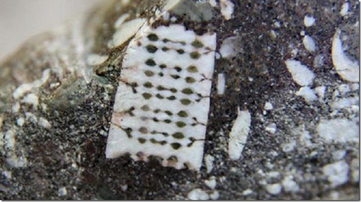 microchi