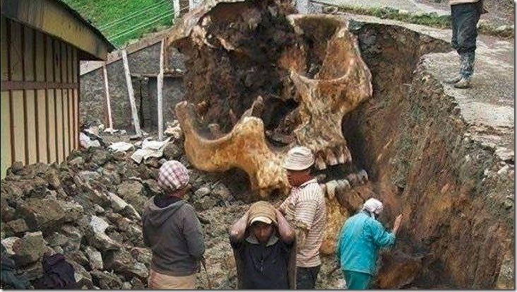 gigante tapalpa
