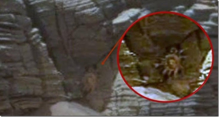 mars crab
