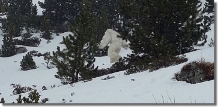 yeti formigal