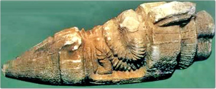 nave de toprakkale