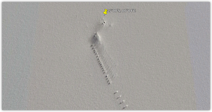 antartico.png