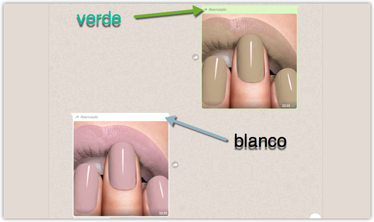 fondos.png