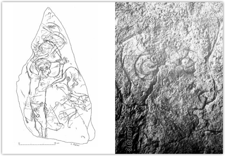 fig1