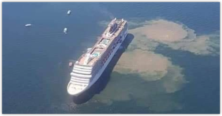 crucero