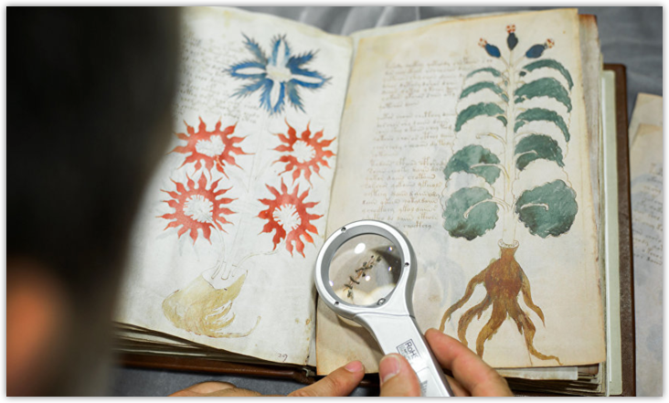voynich